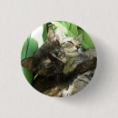 Search for flirting buttons Cute