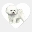 Recherche de chien bichon autocollants Frise