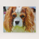 Search for cute cavalier king charles spaniel puzzles Puppy