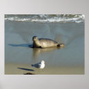 Search for la jolla posters San diego