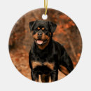 Search for rottie ornaments Pet