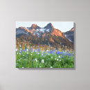 Search for danita delimont canvas prints Jamie