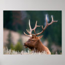 Search for rocky mountain national park posters Wyoming