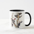 Recherche de pivert tasses Audubon