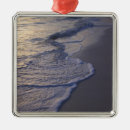 Search for punta cana ornaments Tropical
