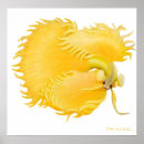 Recherche de betta posters Aquarium