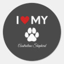 Search for australian shepherd dog stickers Puppies