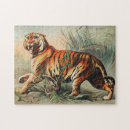 Recherche de tigre bengale puzzles Animal