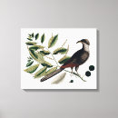 Search for vintage botanical canvas prints Antique