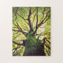 Recherche de racines puzzles Forêt