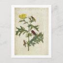 Recherche de maria sibylla merian posters Reptiles