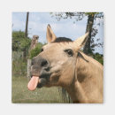 Recherche de peau magnets Humour