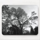 Search for sees mousepads Photography