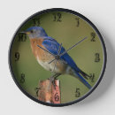 Recherche de volaille horloges Oiseau