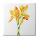 Recherche de canna maison deco Fleur