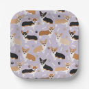 Search for dog plates Corgi