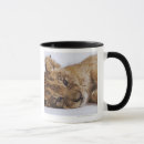 Search for this side up mugs Cute