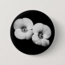Search for thorn buttons Flowers