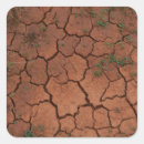 Search for cracked stickers Dry