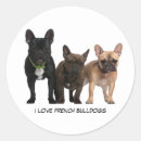 Search for french bulldog love stickers Pet