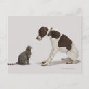 Recherche de domination posters Humour