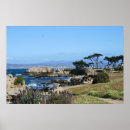 Search for spring photos posters Landscape