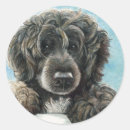 Search for water dog stickers Pet