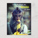 Search for monkey baby postcards Birthday