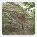 Recherche de vertèbre autocollants Nature