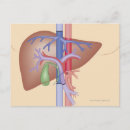 Search for procedures posters People