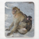 Search for monkey mousepads Wildlife