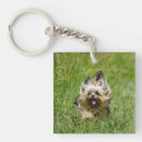 Recherche de terrier yorkshire porteclés Chiot