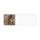 Search for vizsla return address labels Animals