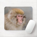 Search for grey fur mousepads Brown