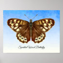 Recherche de papillons posters Pour elle