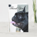 Search for bulldog thank you cards Animals