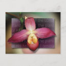 Search for plans postcards Bible