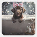 Recherche de labrador chocolat autocollants Chien