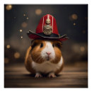 Recherche de guinée posters Porc