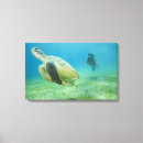 Search for diving canvas prints Green