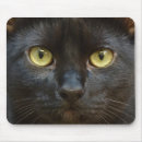 Search for kitty face mousepads Black
