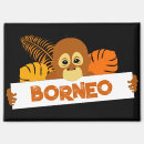 Search for borneo magnets Animal