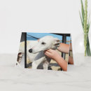 Search for greyhound birthday cards Cute