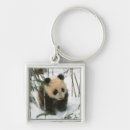 Search for panda bears keychains Cub