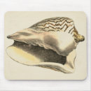 Search for sea shell mousepads Sepia seashell
