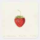 Search for strawberry stickers Red fruit