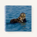 Recherche de loutres carnets Loutre de mer
