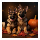 Recherche de chiot de berger allemand posters Automne