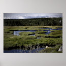 Search for stream art Fine