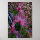Search for duster posters Floral